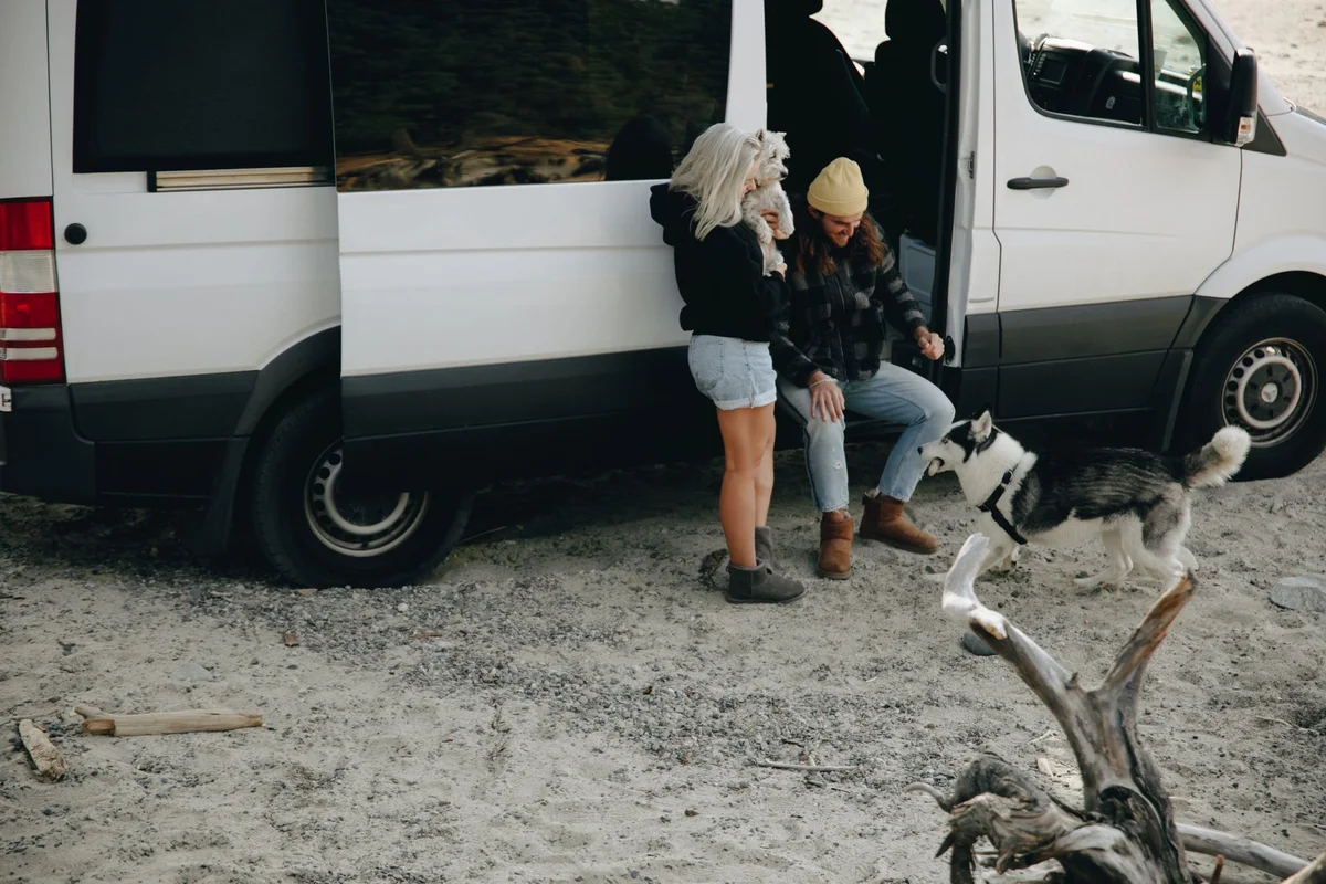 Zwei Hunde neben einem hellen Camper auf einer Reisepause