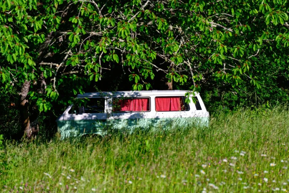 VW T6 Camper Heckbett oder Festbett Innenausbau
